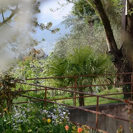 Tannerhof 3* Μεράνο