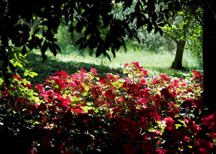 酒店 坦内霍夫酒店 3*